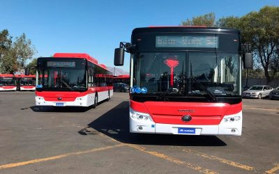 Se adjudicaron los 40 buses eléctricos de la licitación de Antofagasta