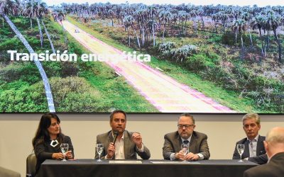 ¿Guiño a la electromovilidad? Argentina implementará el etiquetado vehicular comparativo