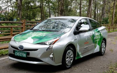 Se “calienta” el mercado: Brasil barajaría 100 opciones de vehículos eléctricos e híbridos este año