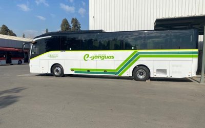 ¿Zhongtong o Yutong? Para adquirir 10 buses eléctricos Yanguas compara sus tecnologías