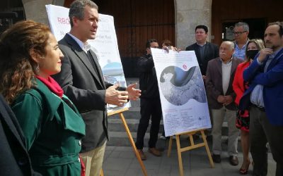 Gobierno ultima detalles para licitar corredor de 36 buses eléctricos en Chile