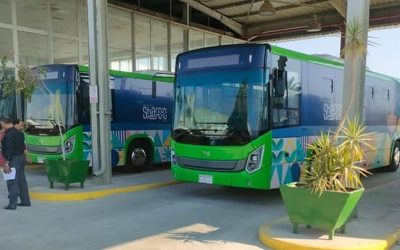 COP 27: La inversión millonaria del Gobierno egipcio para fabricar 70 buses eléctricos