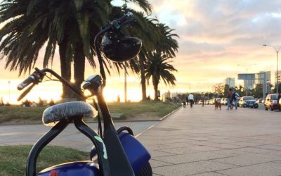 Información abierta de ventas y visibilidad de motos eléctricas: El pedido de importadoras en Uruguay