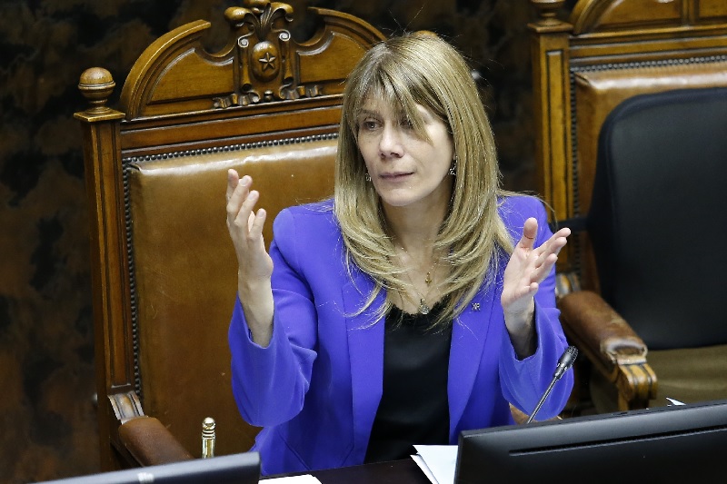 Senadora Ximena Rincón